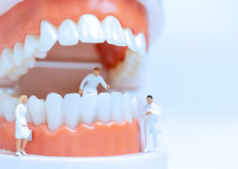 成長力を活かして理想的な歯並びへ